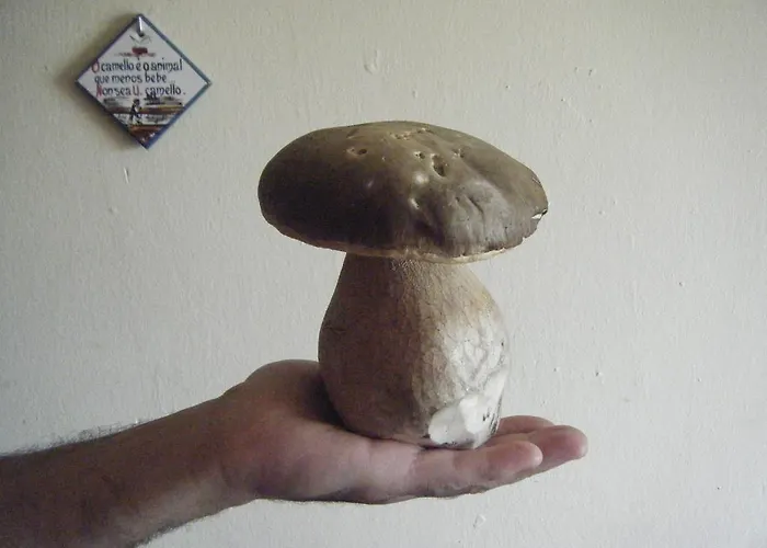 Vendégház Fonda Ca L'abel 3*